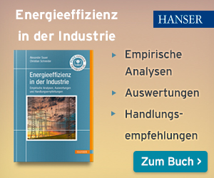 Energieeffizienz in der Industrie Buch